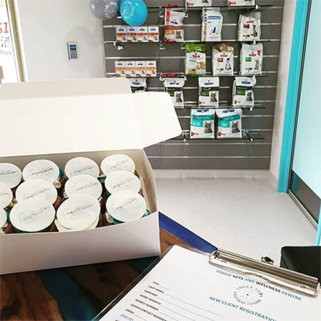 Vogue Vets & Wellness Centre