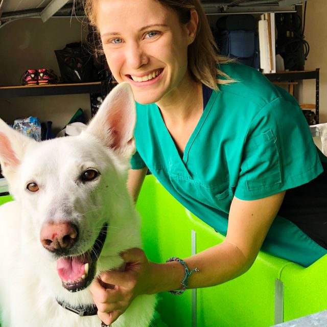 PAWfectly Clean Pets