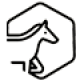x Horse